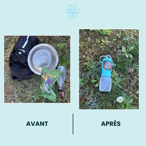 accessoire 2-en-1 pour chien eau et nourriture