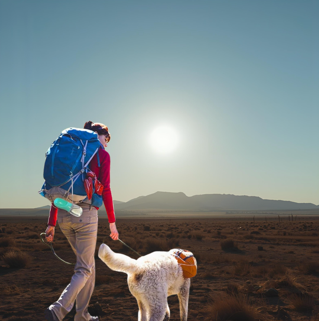 Gourde pour chien WithPup 2-en-1